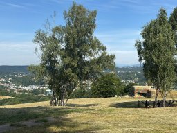 WhatsApp Image 2025-07-06 at 10.11.33